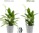 12-pack-plant-support-stakes-with-24-pcs-2.jpg