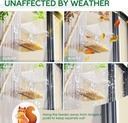 window-bird-feeder-for-outdoors-clear-bi-6.jpg