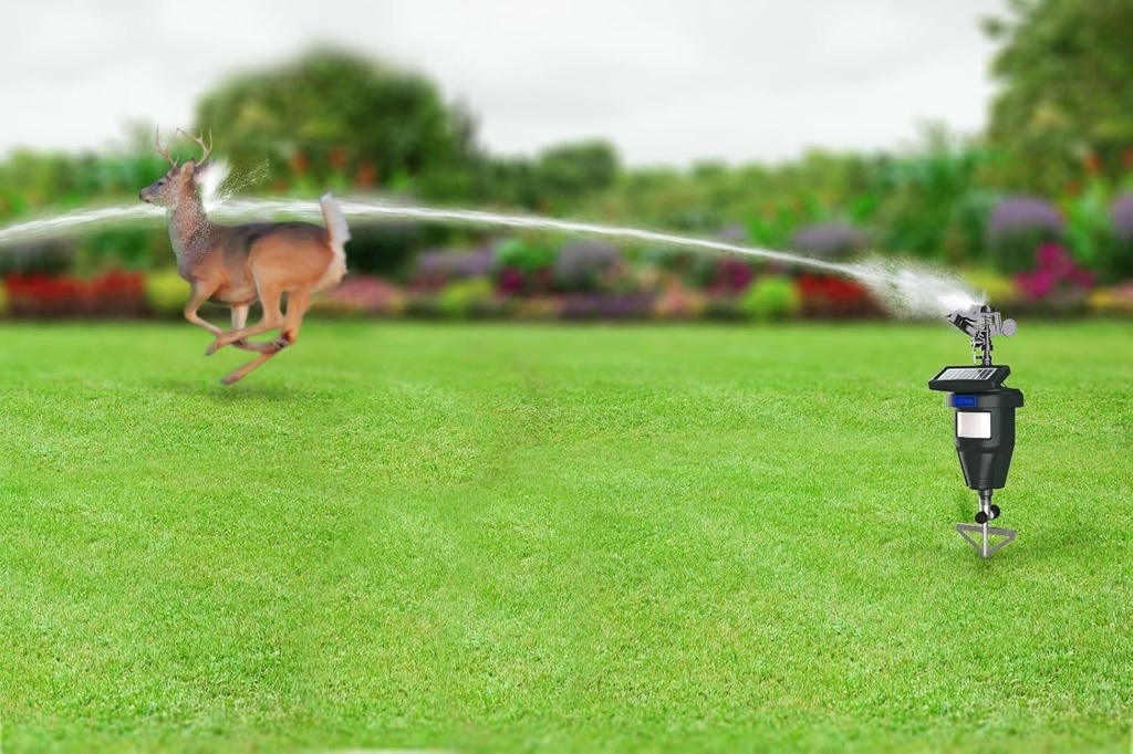 motion-activated-sprinklers-for-yard---e-2.jpg