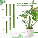 duspro-green-stackable-mesh-moss-pole-fo-3.jpg
