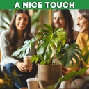 2-pack-moss-pole---46-inch-moss-pole-ind-6.jpg