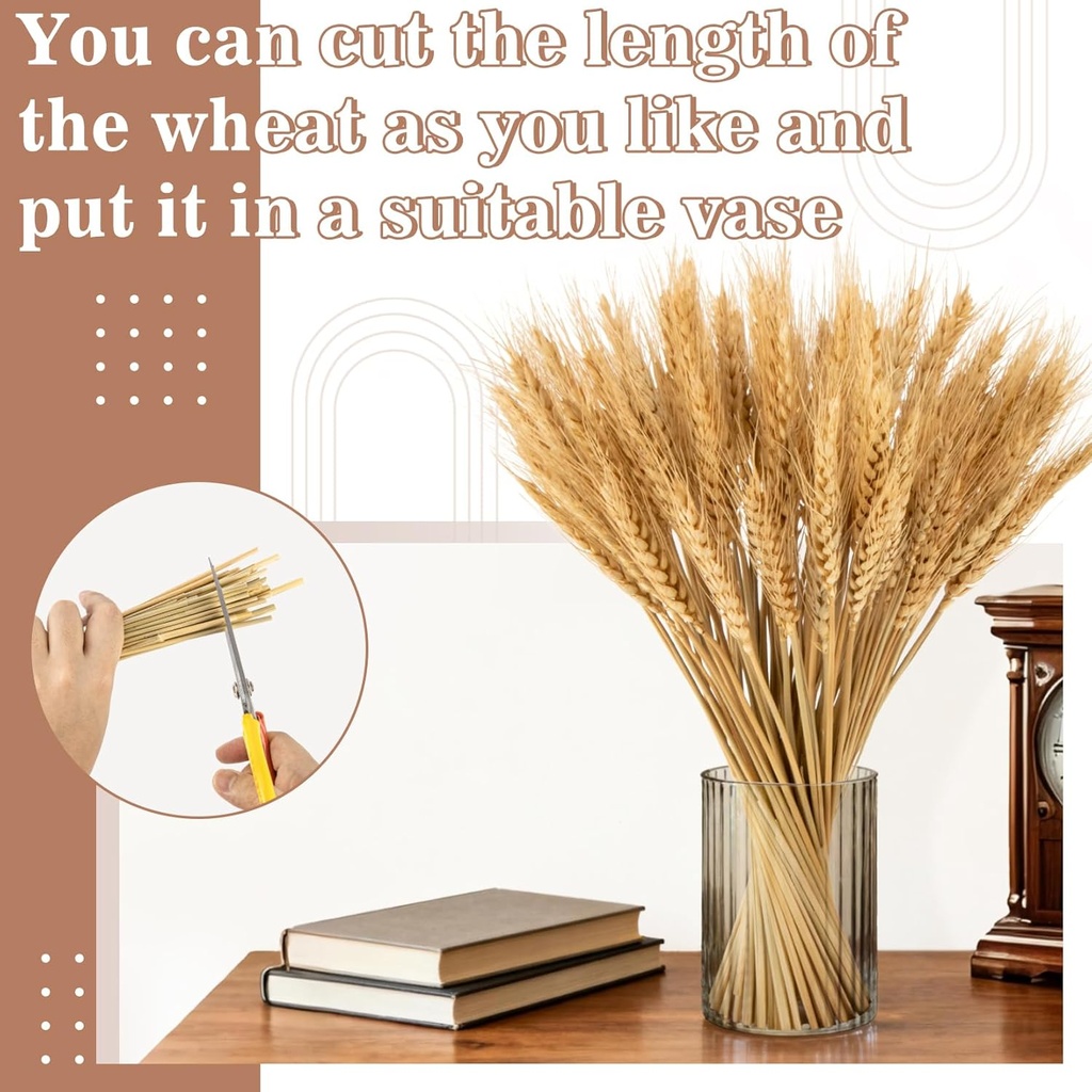 sukh-100-stems-dried-wheat-stalks-for-de-4.jpg