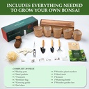 5-diy-bonsai-tree-kit-for-beginners-comp-3.jpg