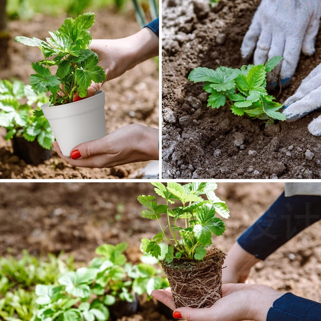 28-pack-4-inch-small-plant-pots-plastic--6.jpg