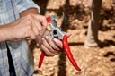 corona-sharpening-tool-garden-tool-blade-2.jpg
