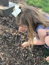 dewit-junior-kids-hand-trowel-3.jpg