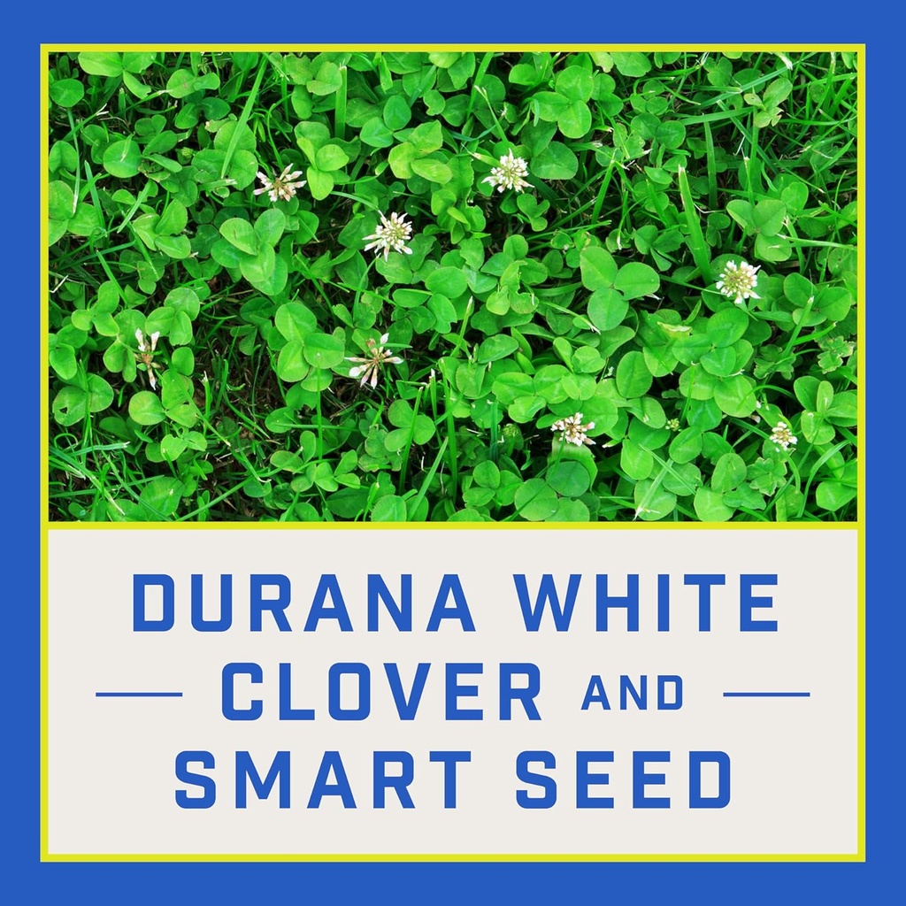 pennington-smart-seed-clover-and-grass-m-4.jpg