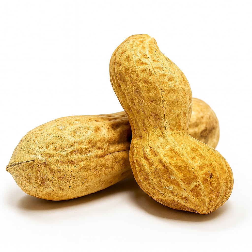 sky-ecommerce-crazy-nuts-usa-grown-whole-3.jpg