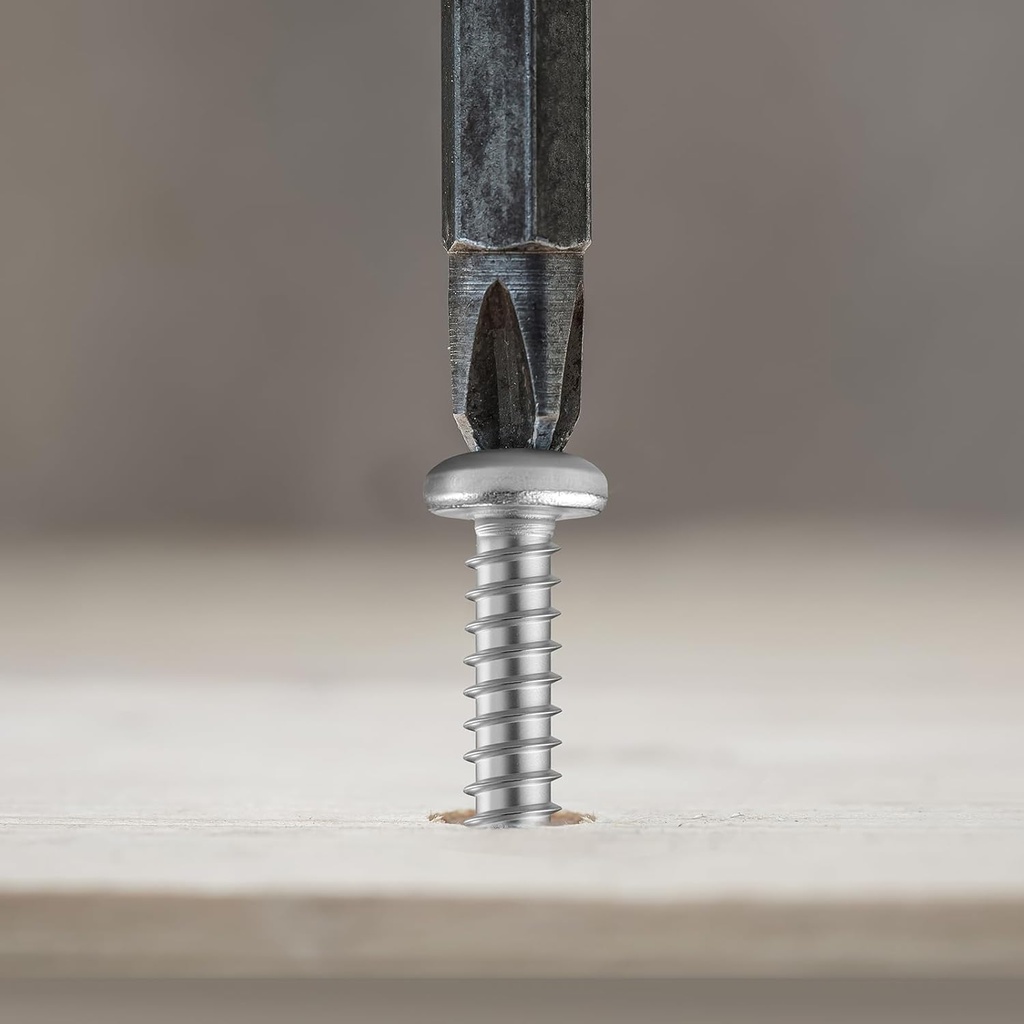 247pcs-pan-head-wood-screws-assortment-k-6.jpg