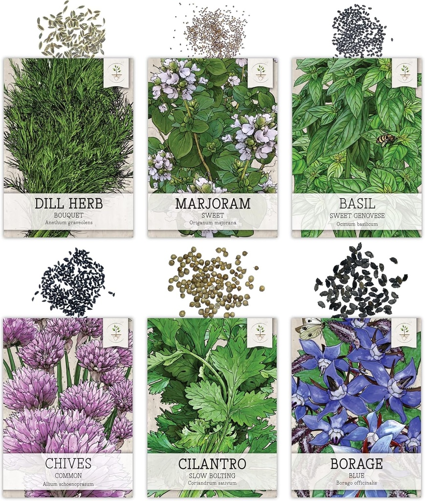 seed-needs-herb-seeds-variety-pack-culin-4.jpg