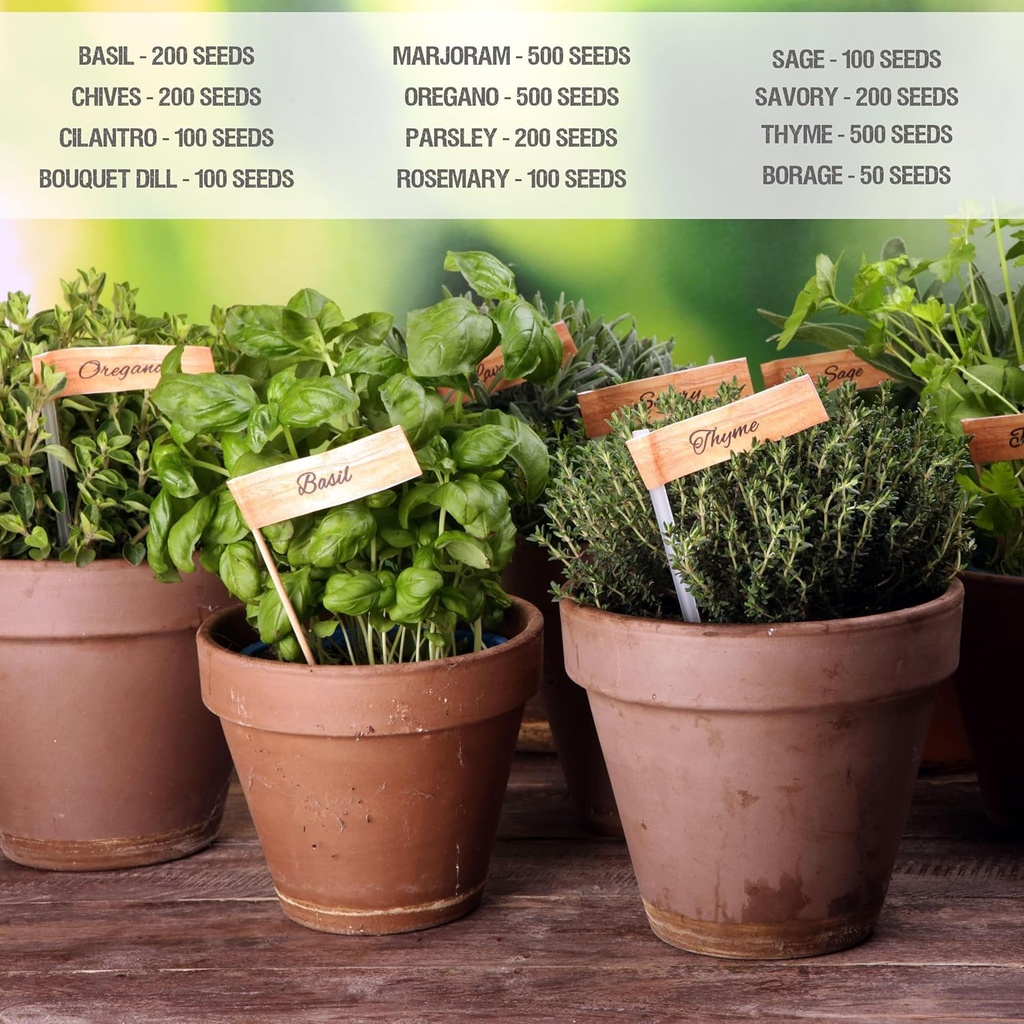 seed-needs-herb-seeds-variety-pack-culin-5.jpg