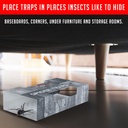 spider-traps-for-inside-your-home-16-tra-5.jpg