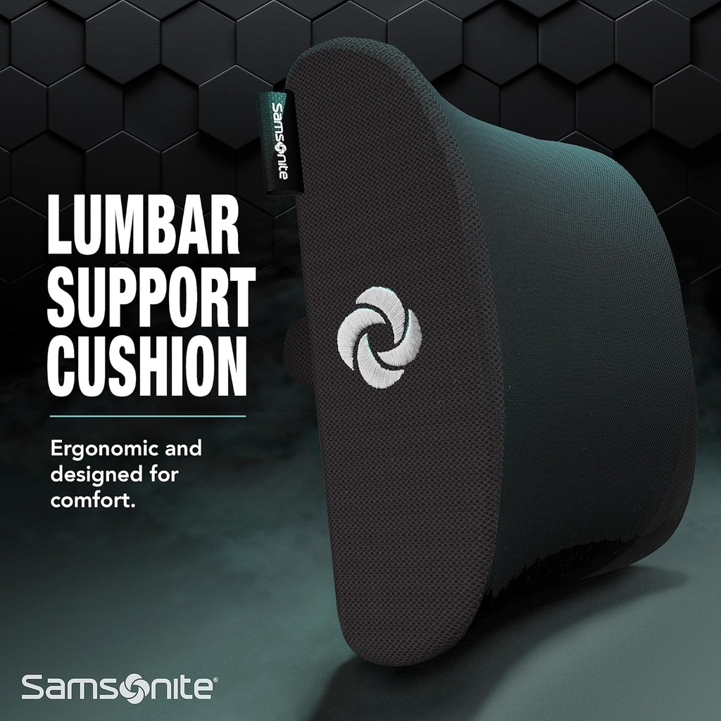 samsonite-ergonomic-lumbar-support-pillo-5.jpg