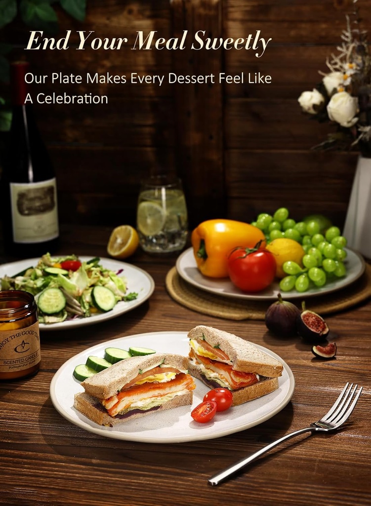 yedio-105-inch-ceramic-dinner-plates-set-6.jpg