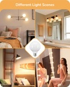 edishine-dimmable-g25-globe-led-edison-l-5.jpg