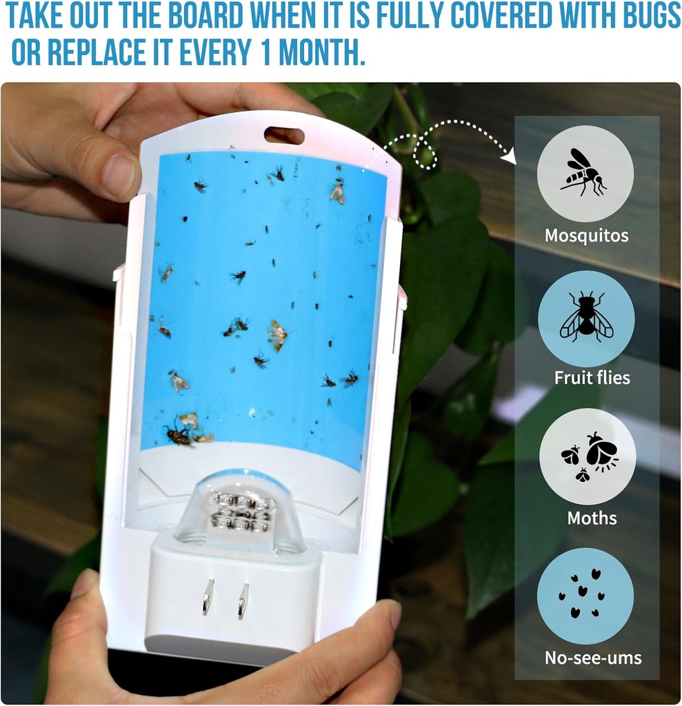 2-pack-flying-insect-trap-with-8-refills-3.jpg