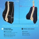 niceeday-lumbar-support-pillow-for-offic-6.jpg