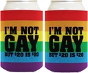 LBGTQ Pride Gear Pride Flag Not Gay 2-Pack Can Drink Thermocoolers