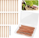 25 pcs Copper Nails for Killing Trees Stump Root, 3.15" Copper Nails with Drill, Stump Removal Spikes Hardware Nails for Trees