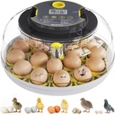 Incubator for Hatching Eggs-18 Egg Capacity, Automatic Egg Turner, Temperature & Humidity Control, 360° Viewing for Chicken, Duck and Quail Eggs