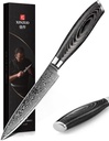 XINZUO Paring kitchen Knife, 5 Inch Super Sharp Damascus Steel Petty Knife, Fruit Knife, Pakkawood Handle, Gift Box