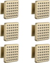 Solid Brass Shower Body Spray Jets, Square Body Jets for Shower, High Pressure Body Shower Jet, Wall Mount Shower Massage Spray Jets, Upgrade Spa Jets for Shower, 6PCS, Brushed Gold