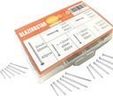 Common Nails Premium Hardware Nails Assortment Kit, Maximum Length 2 Inches Galvanized Nails, Picture Hanging Nails, Wood Nails, Wall Nails (Mix Box 300PCS)