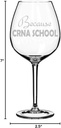 Wine Glass Goblet Funny Nurse Anesthetist Because CRNA School (20 oz Jumbo)