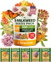 HOME GROWN Milkweed Flower Seeds - 500+ Heirloom Perennial Wildflower Seeds (5 Individual Varieties) Supports Monarch Habitat, Grows in Zones 3–10 (Asclepias syriaca)