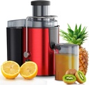 Cold Press Vertical Juicer Machine, Slow Masticating Juicer Extractor Professional Machine Dual Speed for High Nutrient Vegetable & Fruit