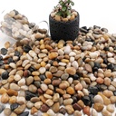 NUPICK 3lb River Rocks for Plants Indoor, 3/8 Inch Mixed Pebbles for Vase Fillers, Decorative Pea Gravel for Fish Tank, Natural Polished Stones for Succulent, Bonsai, Landscaping, Bird Baths